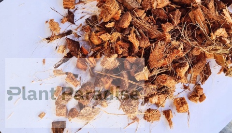 Chipsy zrębki kokosowe 3L - podłoże PREMIUM