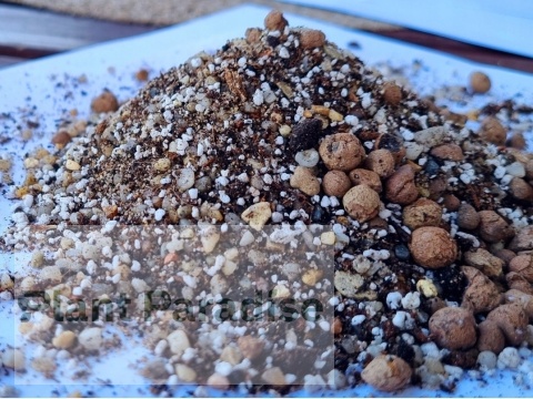 Podłoże PREMIUM ziemia do sukulentów i kaktusów | MIX z dodatkami