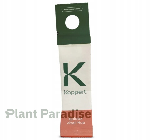 SPIDEX VITAL PLUS: SKUTECZNY PREPARAT NA PRZĘDZIORKI | DOBROCZYNEK ROZTOCZA