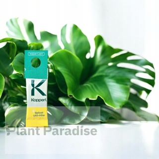 Spical Ulti-Mite - saszetka