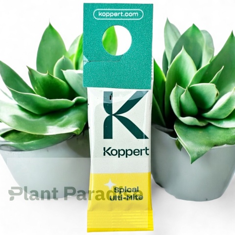 Spical Ulti-Mite - saszetka