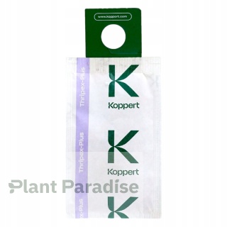 THRIPEX PLUS - Dobroczynek wielożerny